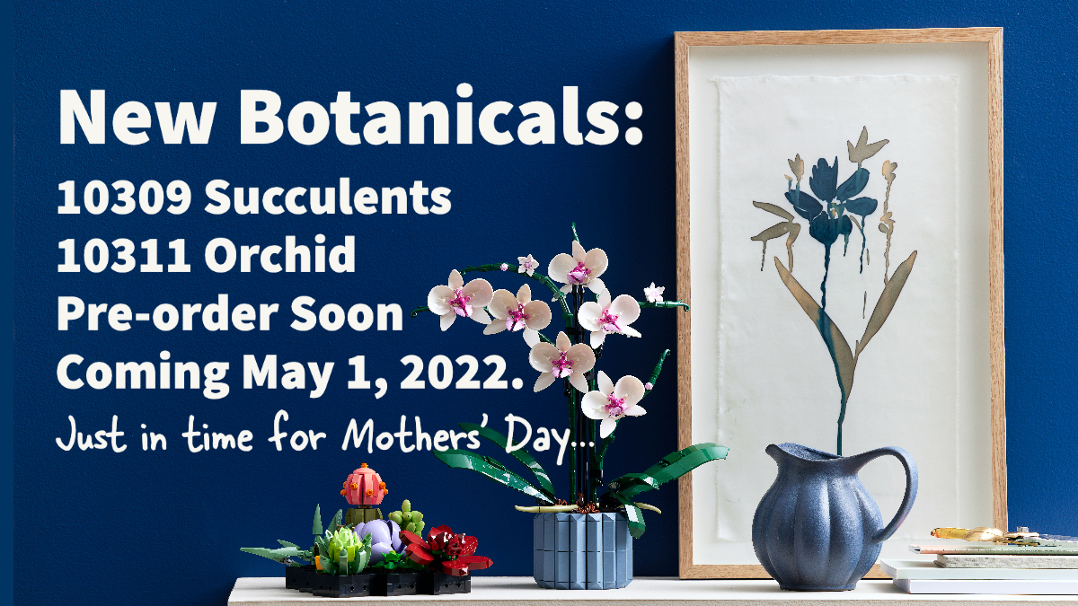 New Botanical Collection: Orchid and Succulents revealed in time for Mothers’ Day!