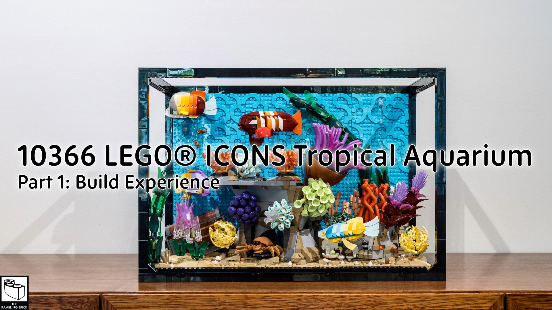 10366 Tropical Aquarium: Build Experience