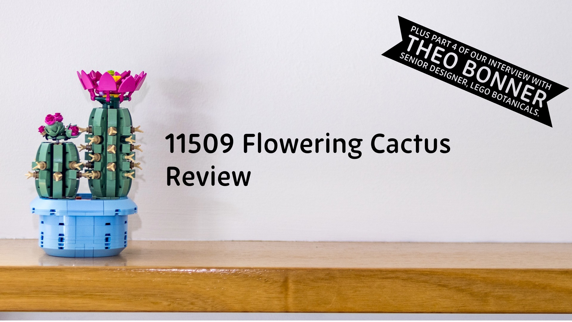 Botanicals Review and Interview IV: 11509 Flowering Cactus